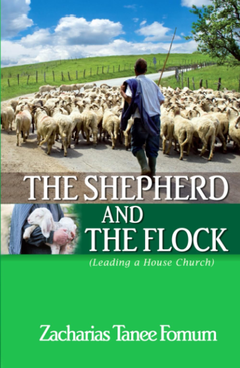 The Shepherd And The Flock: Leading a House Church (Leading God's People)