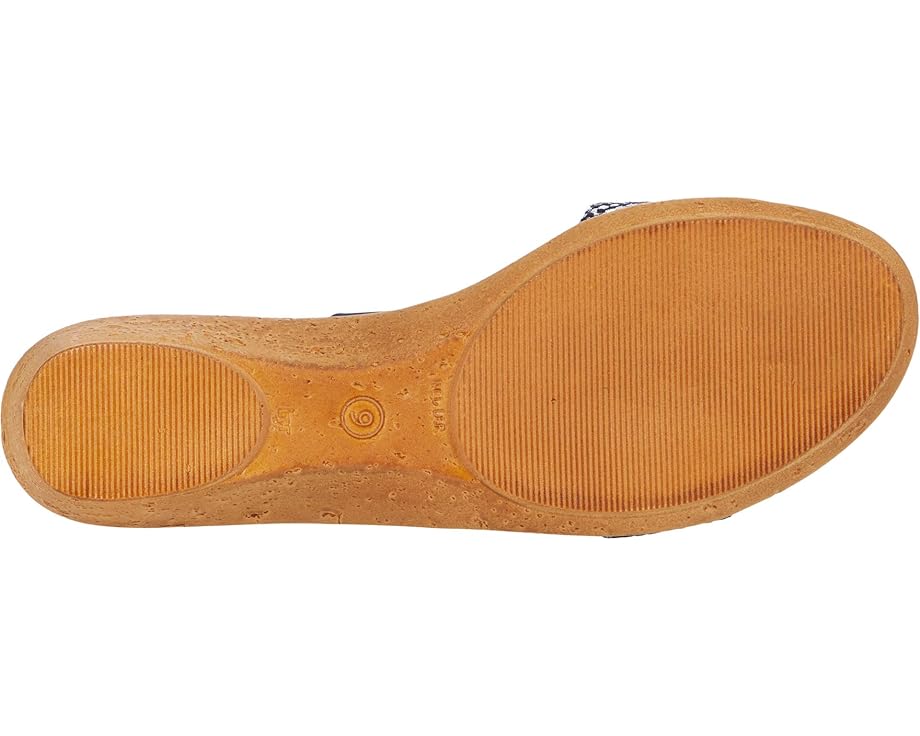 Onex Izabel - Bottom View