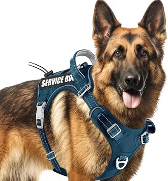 BARKBAY Service Dog Vest Tactical Dog Harness Medium Large Sized Dog No Pull Adjustable Dog Harness Reflective K9 Working Training Easy Control Military Molle SystemLegion Blue,L
