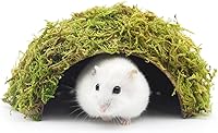 SanmooAio Small Hamster Hideout Mossy Cave - Natural Coconut Moss House for Dwarf Hamsters, Gerbils, Hedgehogs & Small Pets