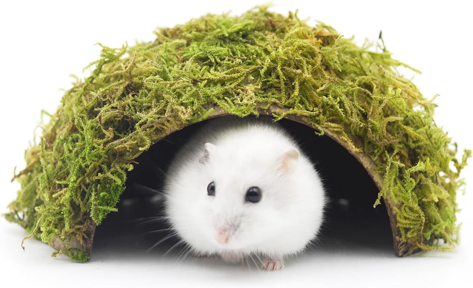 - Hamster Hideaway/Hideout,Mossy Cave Hide,Hamster House/Hides,Hamster Cage Accessories for Gguinea Pig/Hedgehogs/Gliders/Rats/Mice and Other Small Animals (Small)