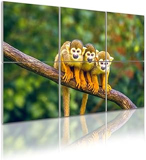 6 Pack Art Acoustic Panels Self Adhesive Three common squirrel monkeys sitting tree branch Decorative Soundproof Wall Panels Sound Absorbing Panel 48"x72" for Office Home Studio