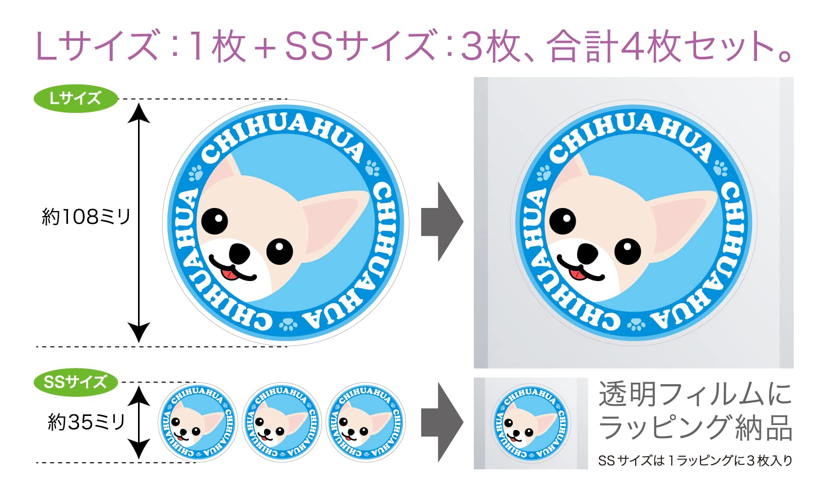 Amazon | 見つめる ジャックラッセルテリア ブロークン/ラフ 犬 