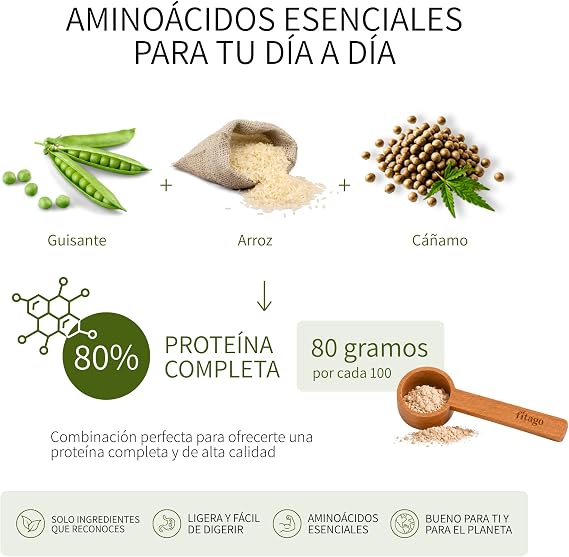 Organic Vegan Protein Powder, 1 kg | 80% Vegetable Protein Neutral Flavor