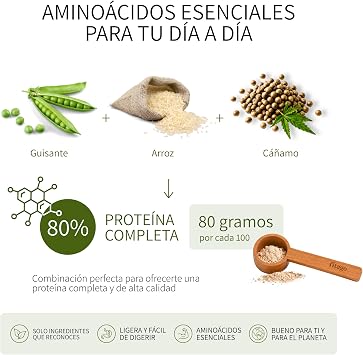 Organic Vegan Protein Powder, 1 kg | 80% Vegetable Protein Neutral Flavor