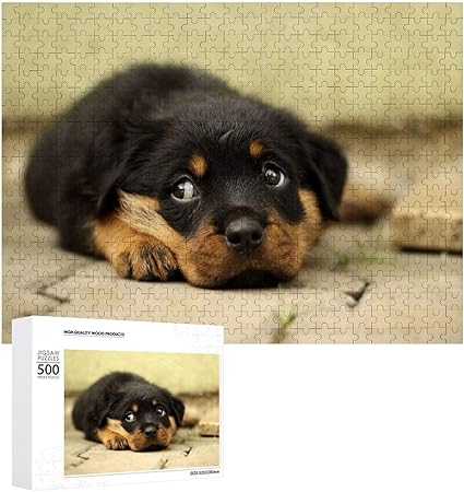 Amazon Co Jp Braksent 500ピース 1000ピース ジグソーパズル 犬に癒され ご主人様 世界遺産 風景 知育 木製パズル おもちゃ