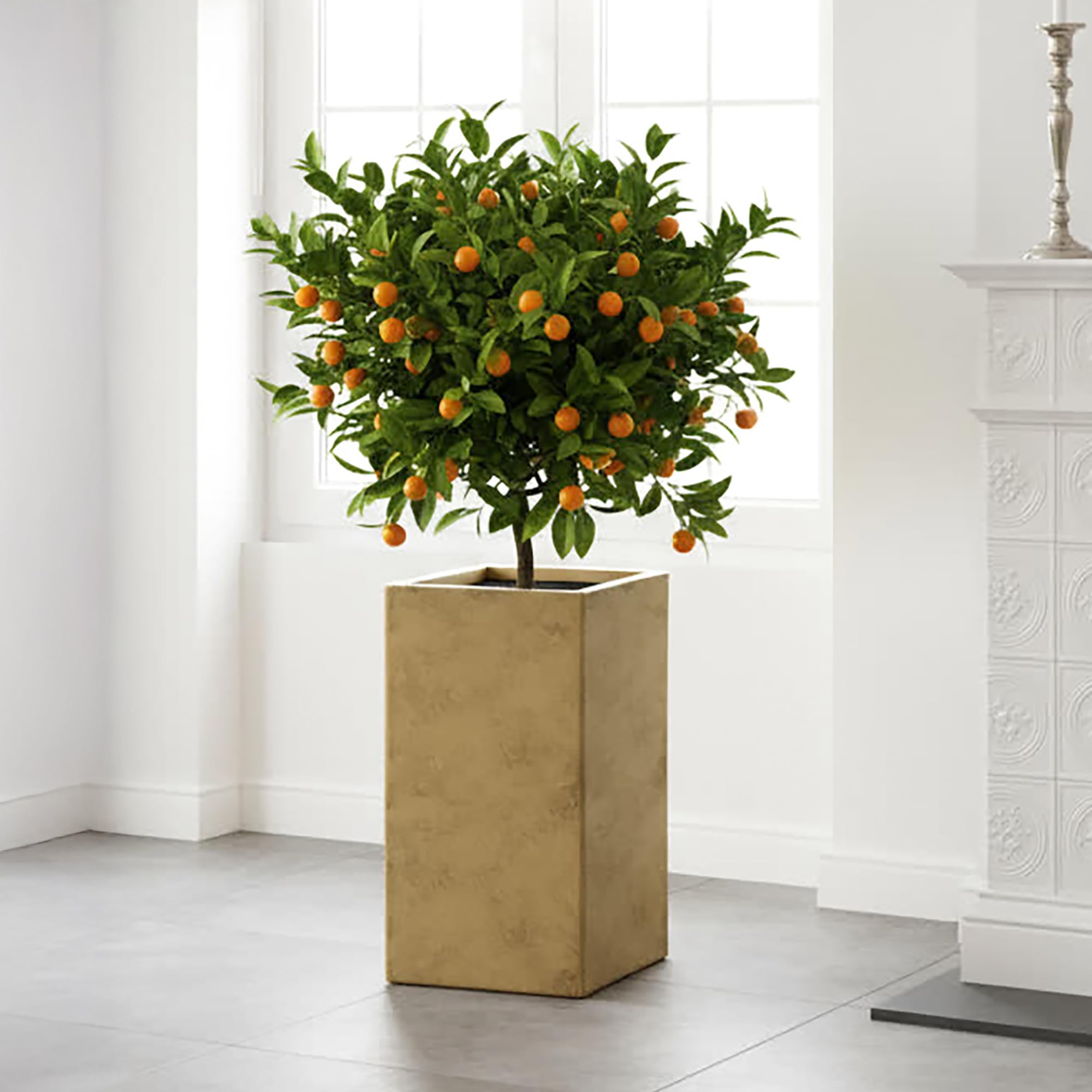 IDEALIST Gold Plant Pot 60cm Tall | Reinforced Stone Indoor Tall Square Planter H60 L27 W27 cm with 24x24 cm Opening, 33 litres