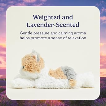 warmies Junior Microwavable & Weighted Stuffed Animals, Calico Cat - Heated Stuffed Animal Plushie for Warmth & Comfort - Cute Soft Plush Toys for Adults & Children (Boys, Girls, Babies & Toddlers)
