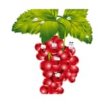 pomegranate molasses substitute Game Padaganon ang Pomegranate