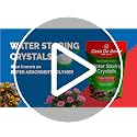 Image of Casa De Amor Water Storing Crystals | Water Retaining Super Absorbent Polymer for Plant, Soil Mixing and Hydroponics Gardening, Lucky Bamboo Plant (500 gm)