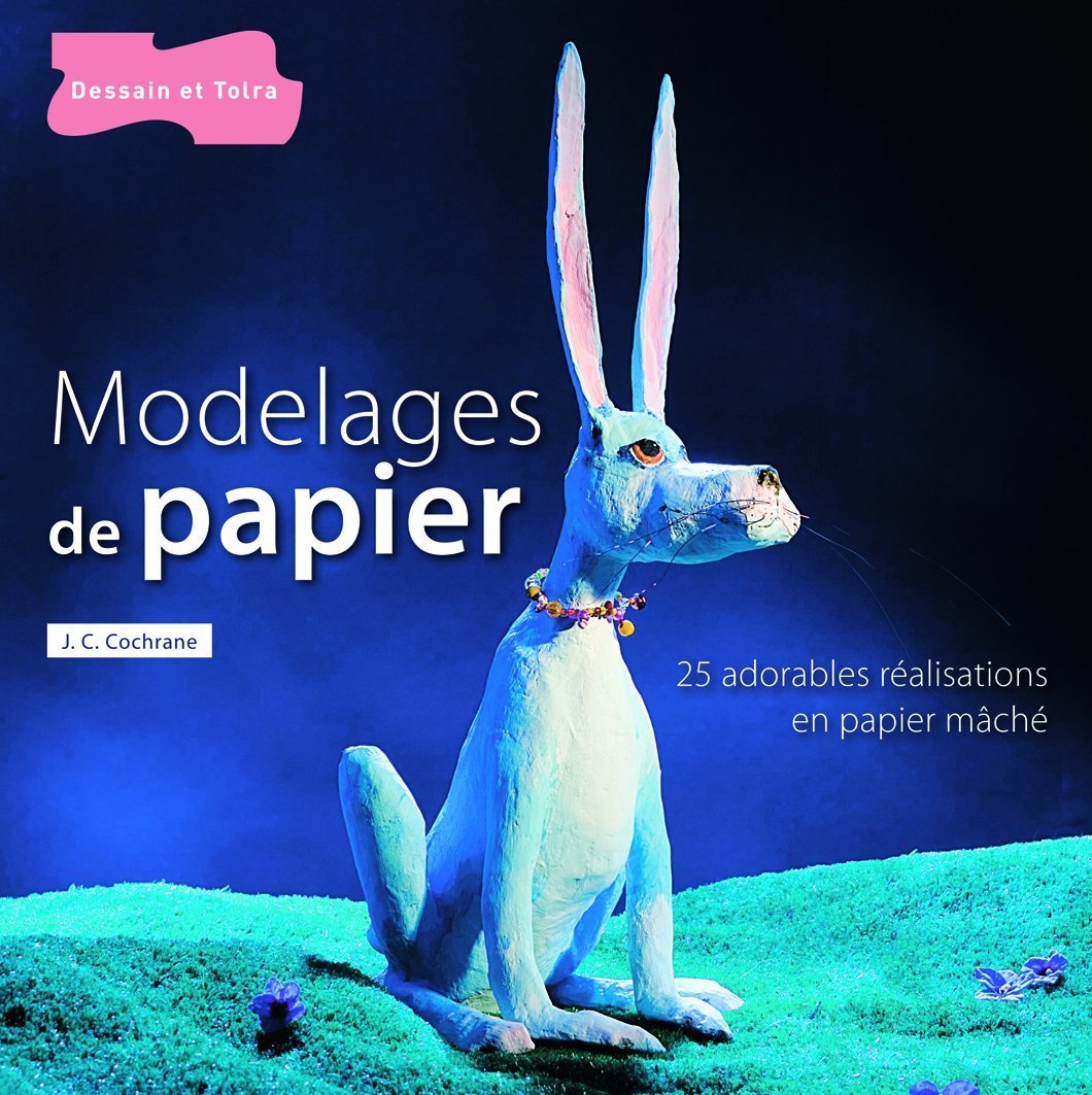 Modelages de papier: Plus de 25 réalisations en papier mâché, originales et amusantes