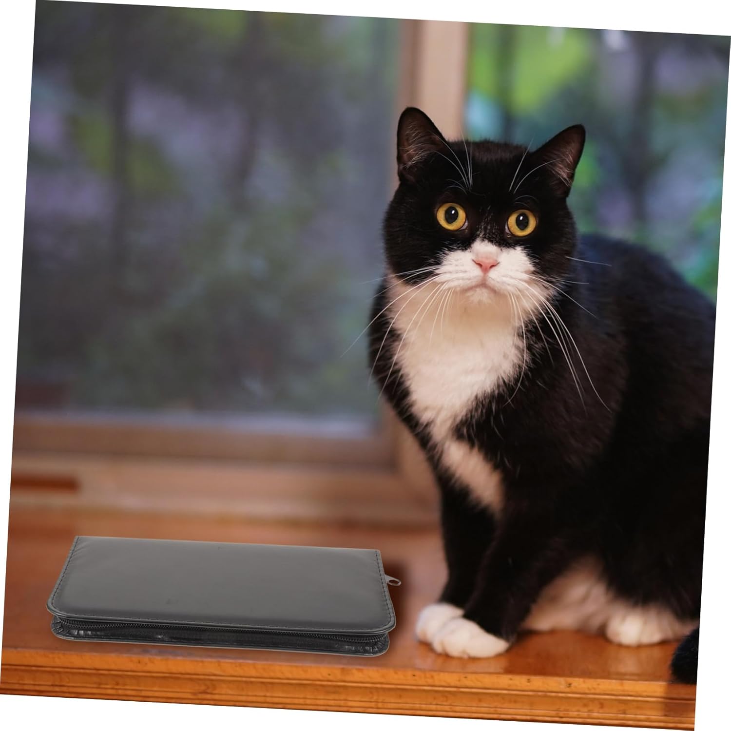 1set Pet Grooming Scissors Kit Stainless Steel Scissors for Dog and Cat Grooming with Comb and Portable Bag Rounded Tip for Safety