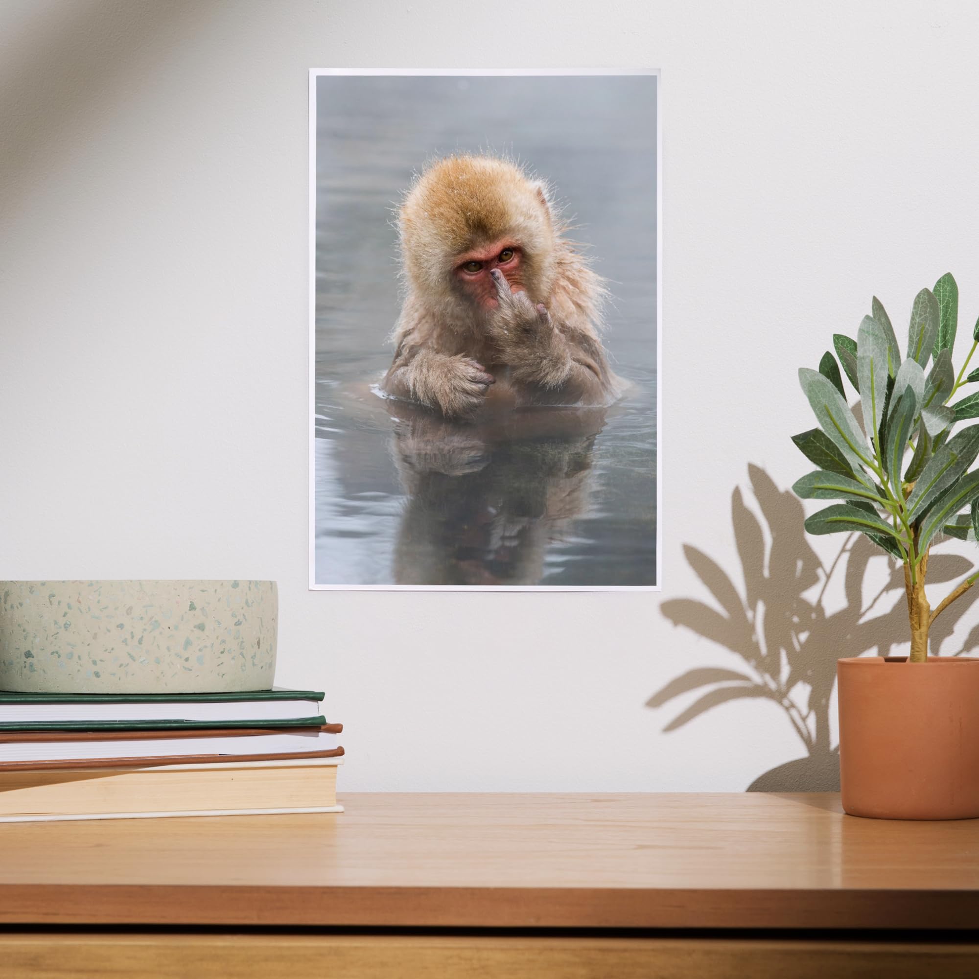 Amazon.com: Lantern Press 8x12 Art Print, Japanese Macaque Monkey