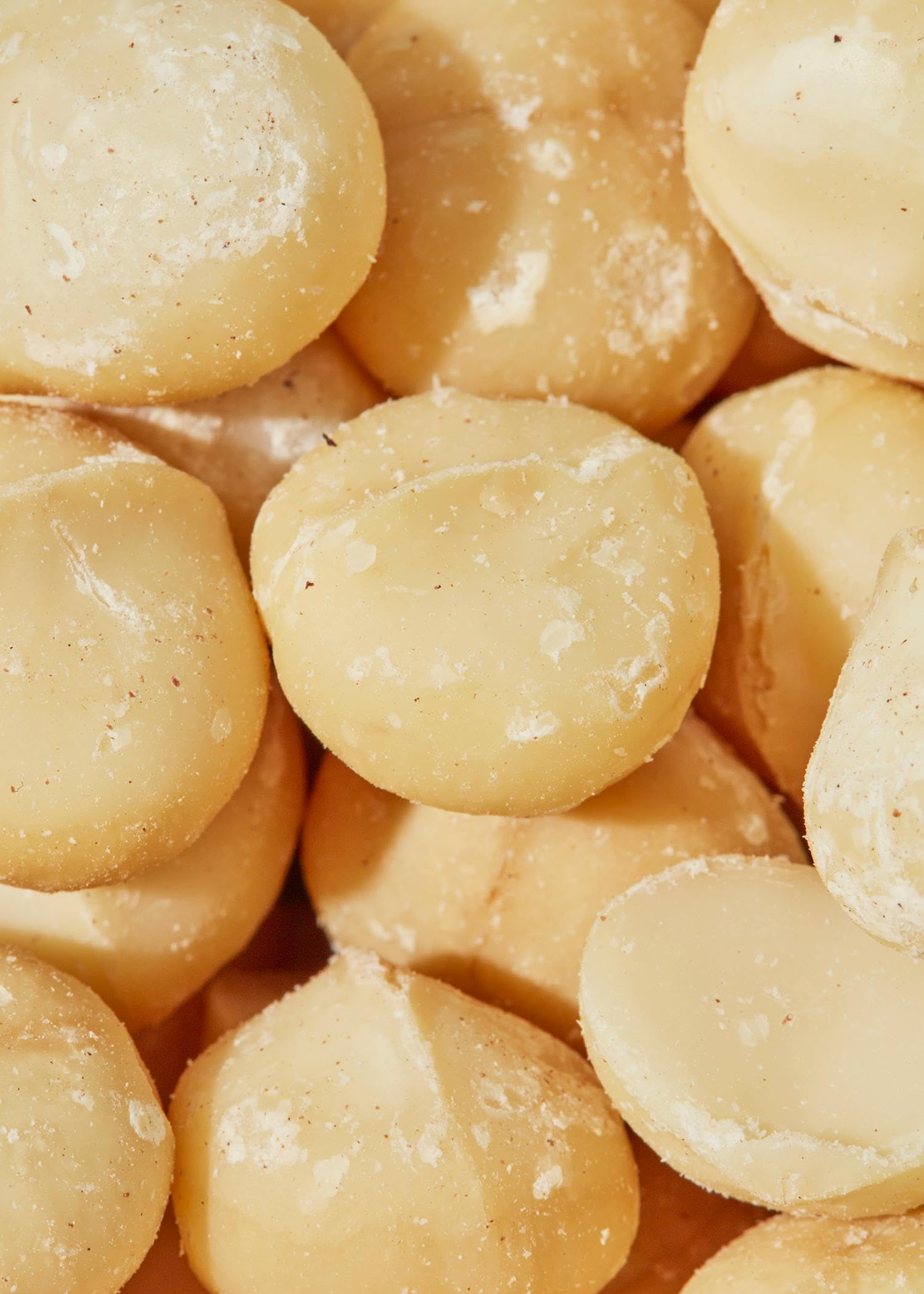KoRo - Noci di Macadamia bio 500 g - Aroma delicato e burroso – Extra croccanti – Confezione convenienza – Bio e senza additivi
