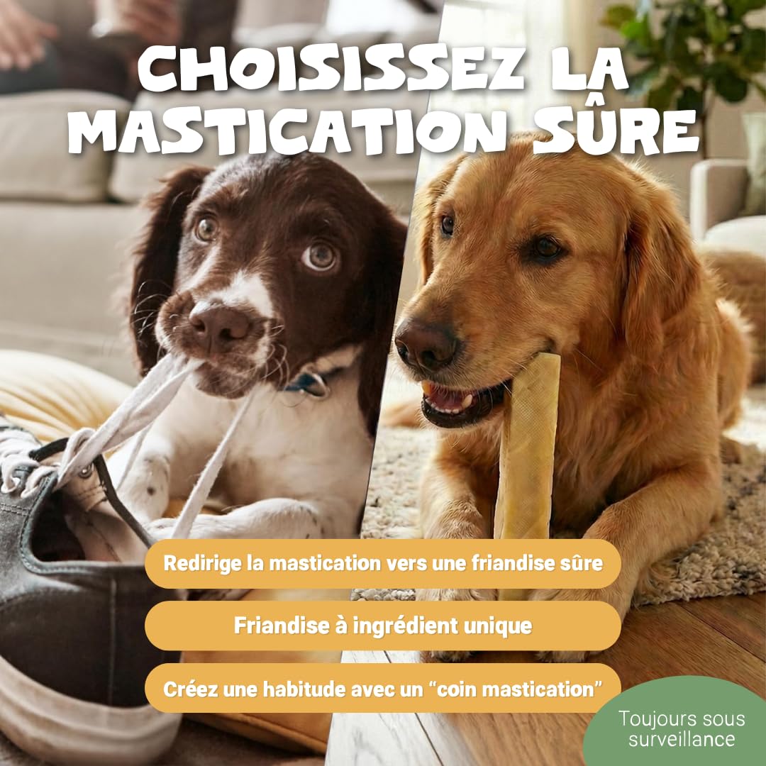 Pets Purest Barres au Lait de Yak de l'Himalayan à Mâcher Large - Friandises Naturelles Os au Fromage - pour Tous Les Ages, Chiots & Les Chiens Agés - Bâtonnets de Protéines & Calcium Longue Durée