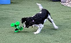 Review Image by Dani True