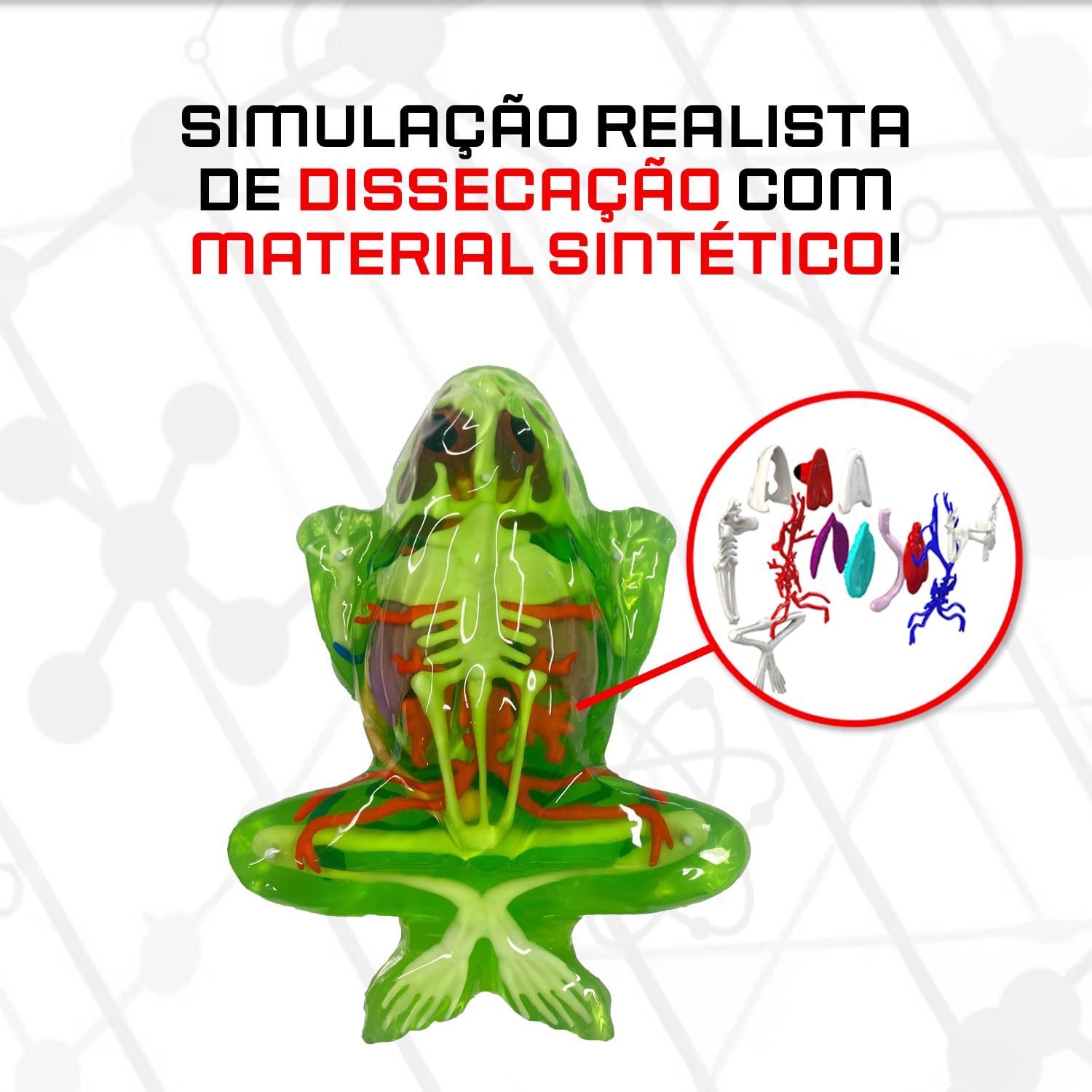 Candide, Dissect-It Super Lab, Kit de Dissecação, Acompanha