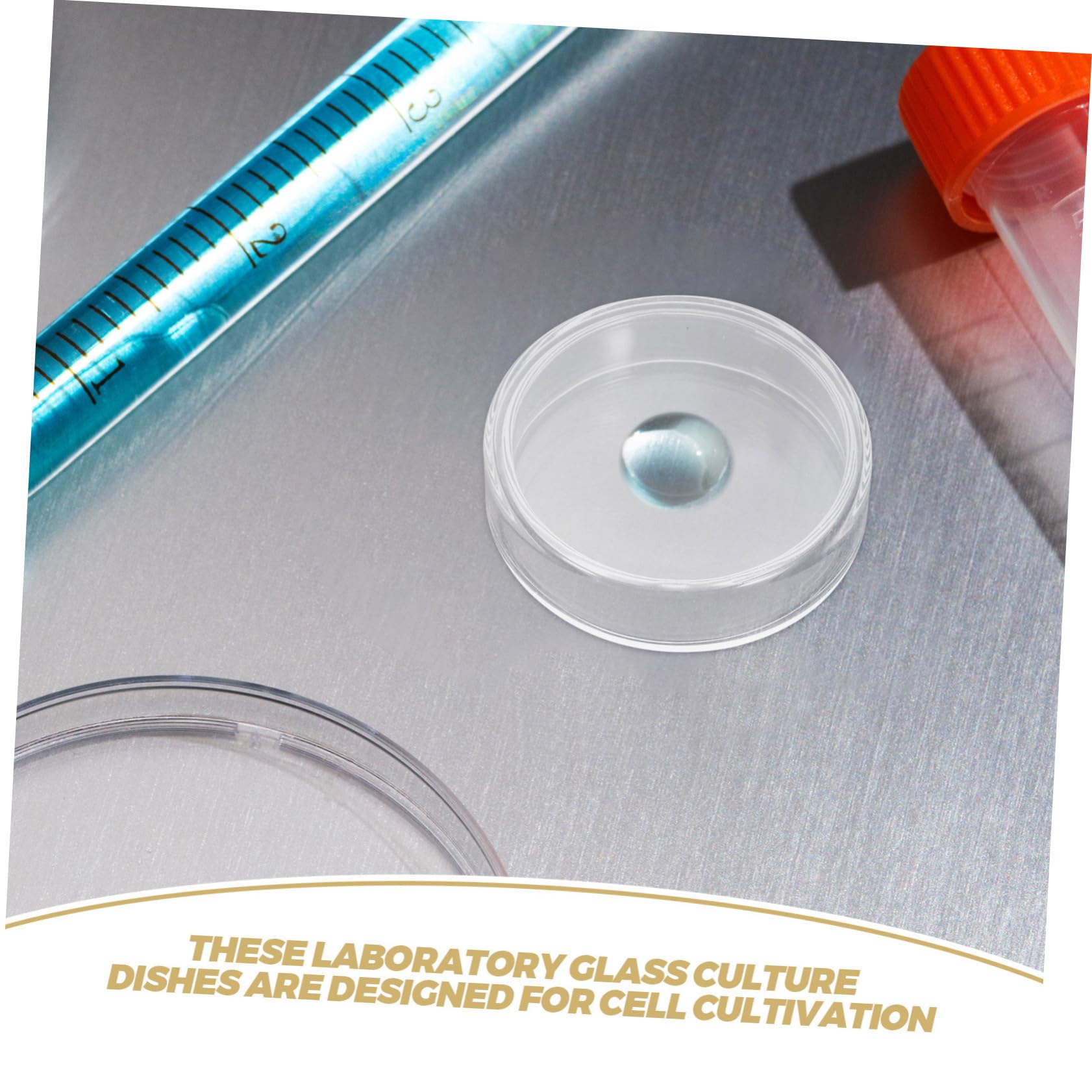 PRETYZOOM 10piezas Placas de Petri de Vidrio Científicas Placas de Laboratorio para Cultivo de Células Experimentos Escolares y Uso de Agar