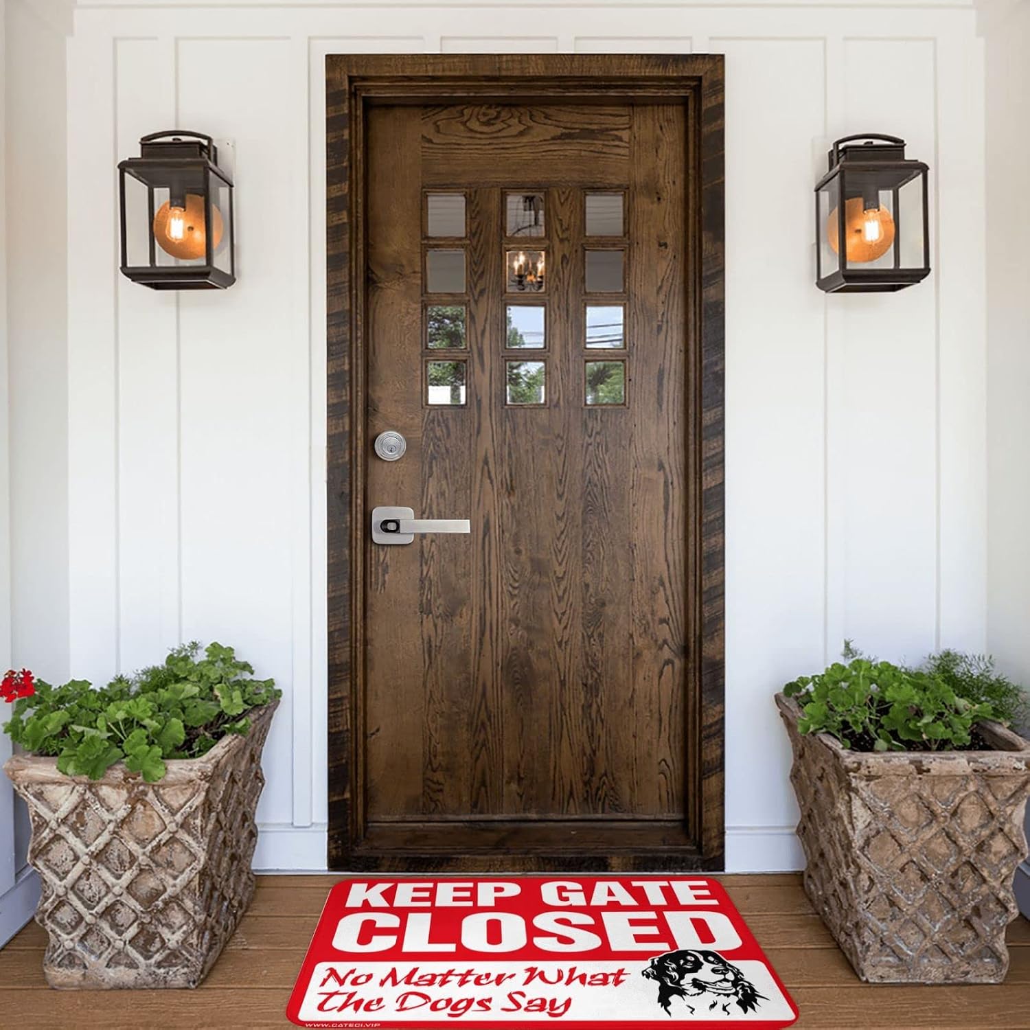 Funny Shoes Keep Gate Closed Noter What The Dog Say Rug Front Door Rugs Indoor Farmhouse Kitchen Mats(50X80CM)