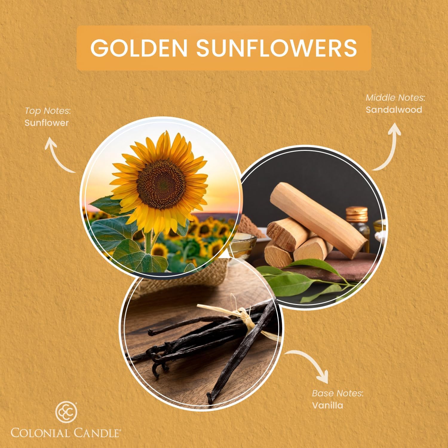 Colonial Candle Golden Sunflowers Scented Jar Candle, Pop of Color Collection, 3 Wick, 14.5 oz - Up to 60 Hours Burn - Image 2