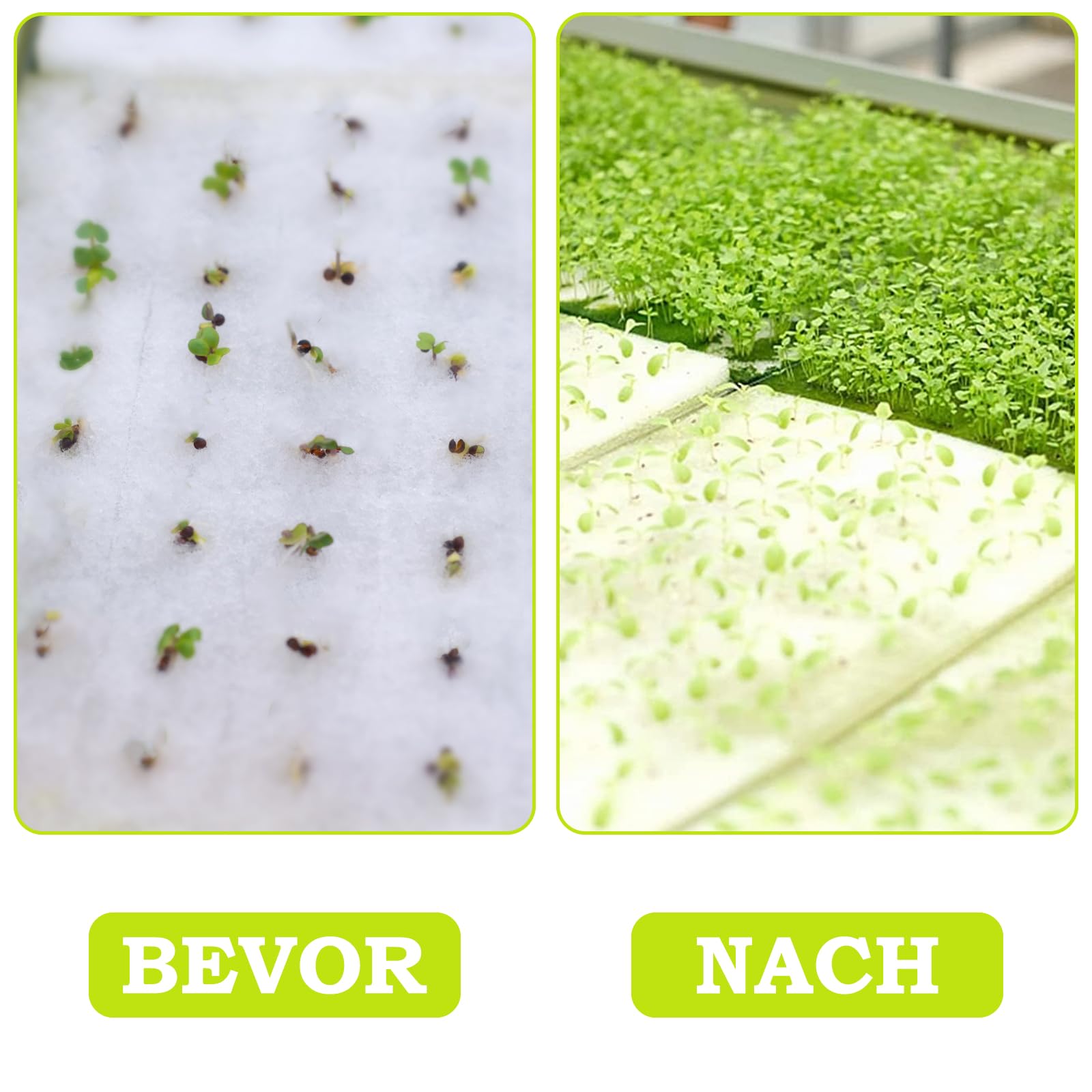 Lot de 500 éponges hydroponiques pour la croissance des plantes, outils de jardinage pour semis, serres et plantes potagères.