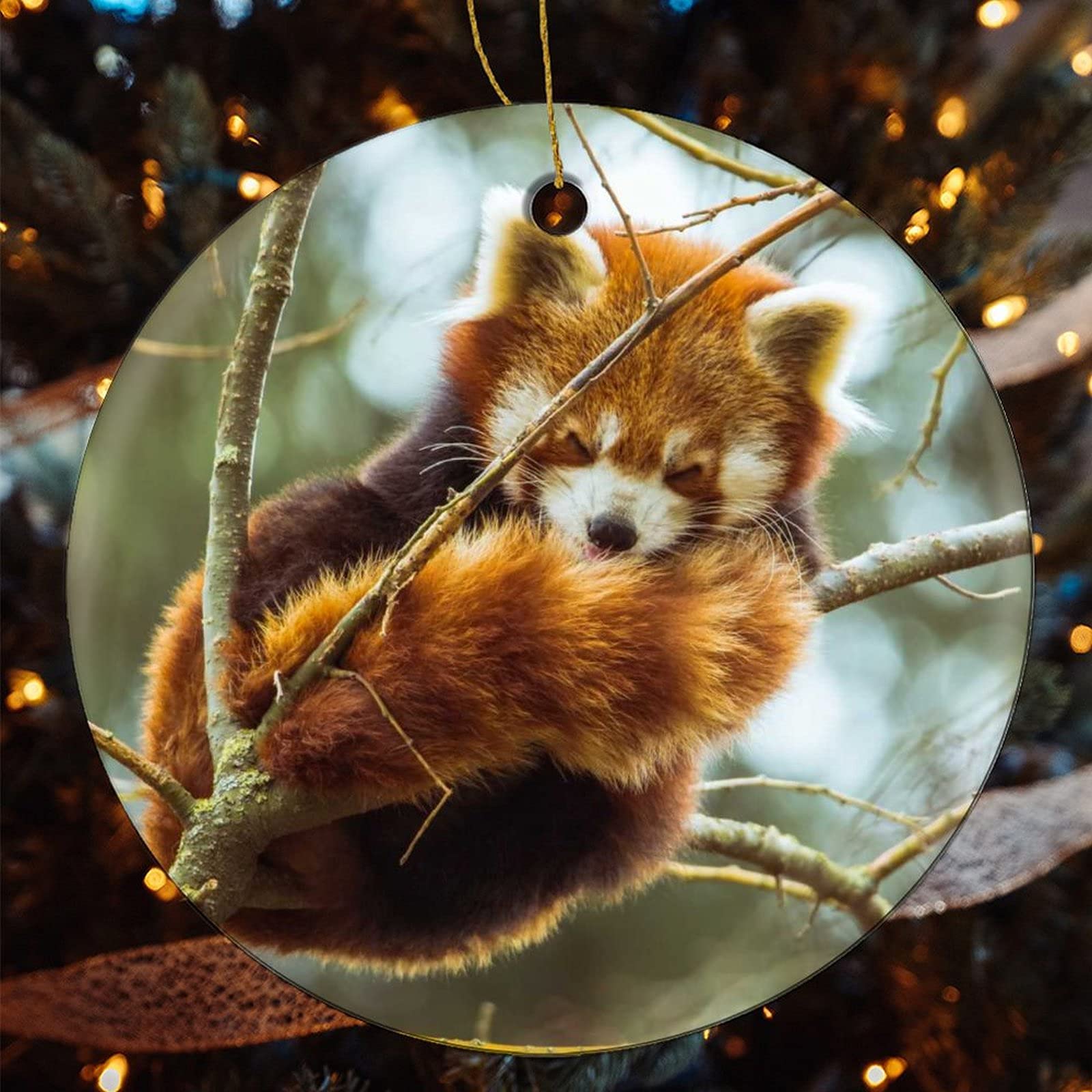 Décorations De Noël En Céramique à Suspendre - Ornements Ronds Avec Corde Dorée, Motif Petit Panda Roux - Pour Sapin Et Intérieur