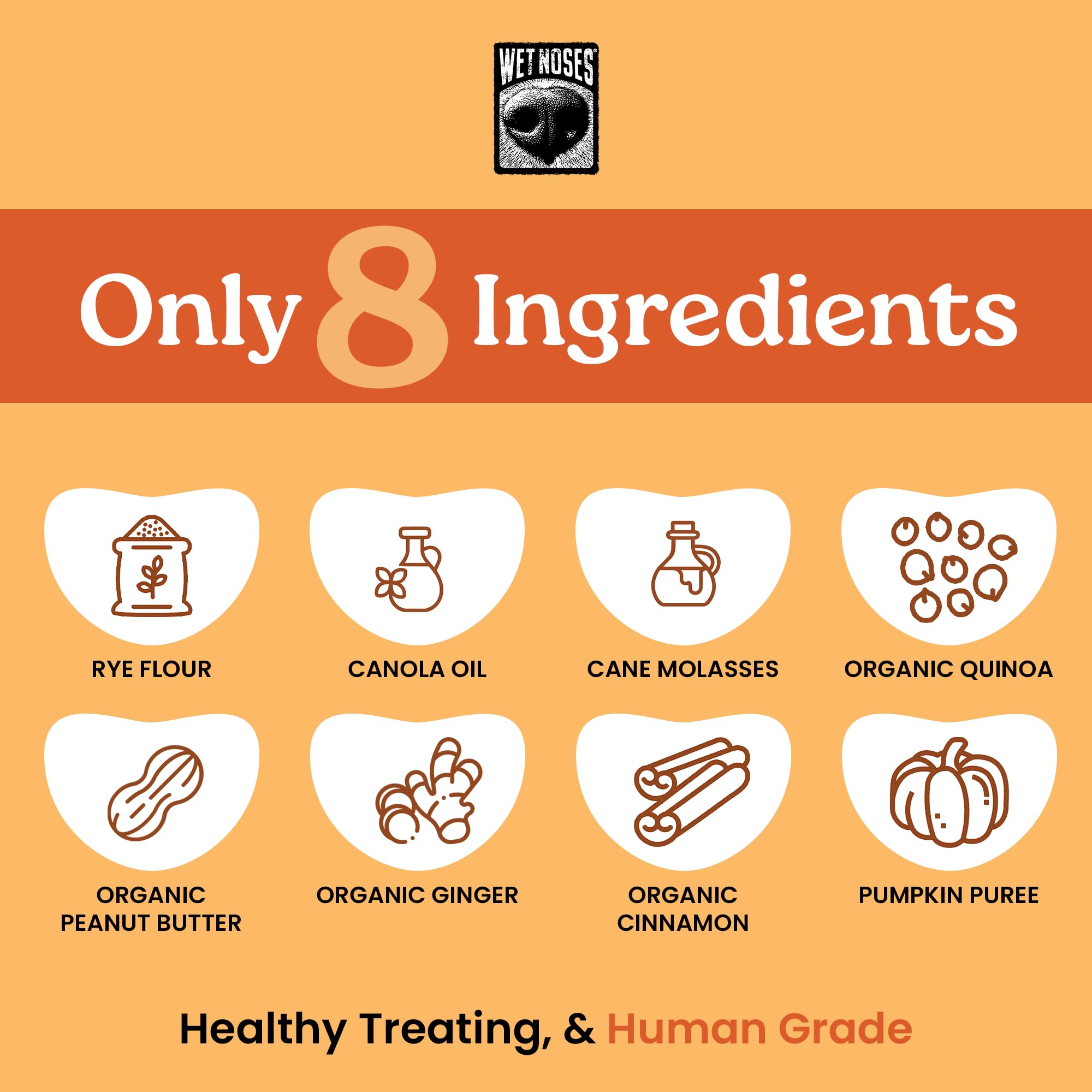 Wet Noses Organic Crunchy Dog Treats – All-Natural, Human-Grade, Non-GMO, Healthy Training & Delicious Snacks for Dogs, for All Dog Sizes & Breeds – Pumpkin & Quinoa, 14oz (2 Pack)