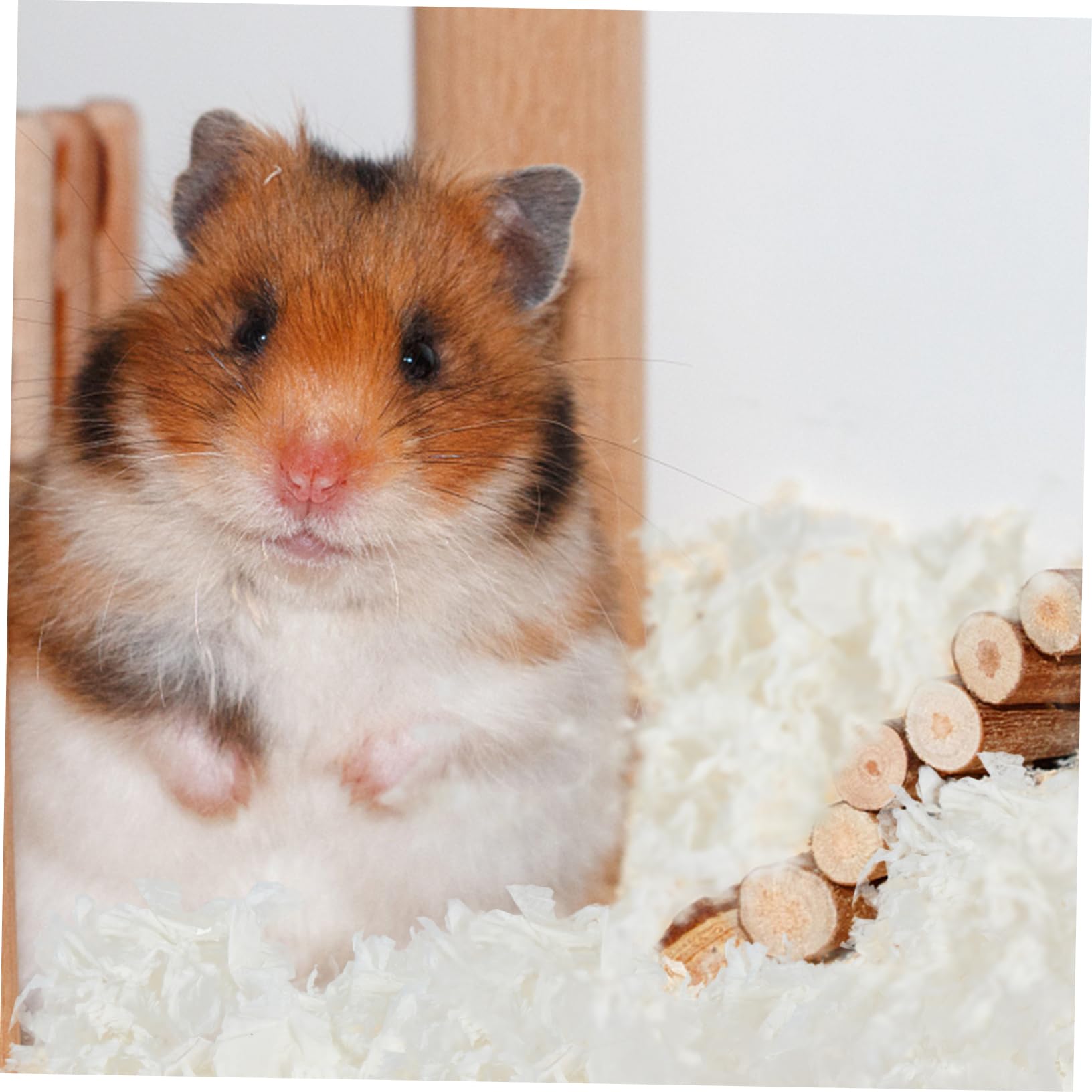 WOONEKY Litière en Papier pour Petits Animaux Absorbante 1 Pack Blanc