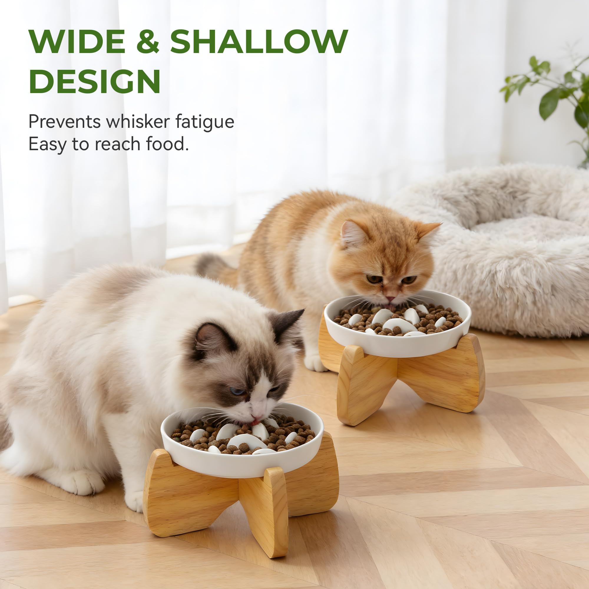 Gamelle Anti Glouton Chat Surélevée avec Support, 16 cm Large, Peu Profond Gamelle Anti-Glouton Chat Céramique pour Croquettes et Pâtée,Réduit Les Vomissements,Lavable au Lave-Vaisselle(2 Pack)