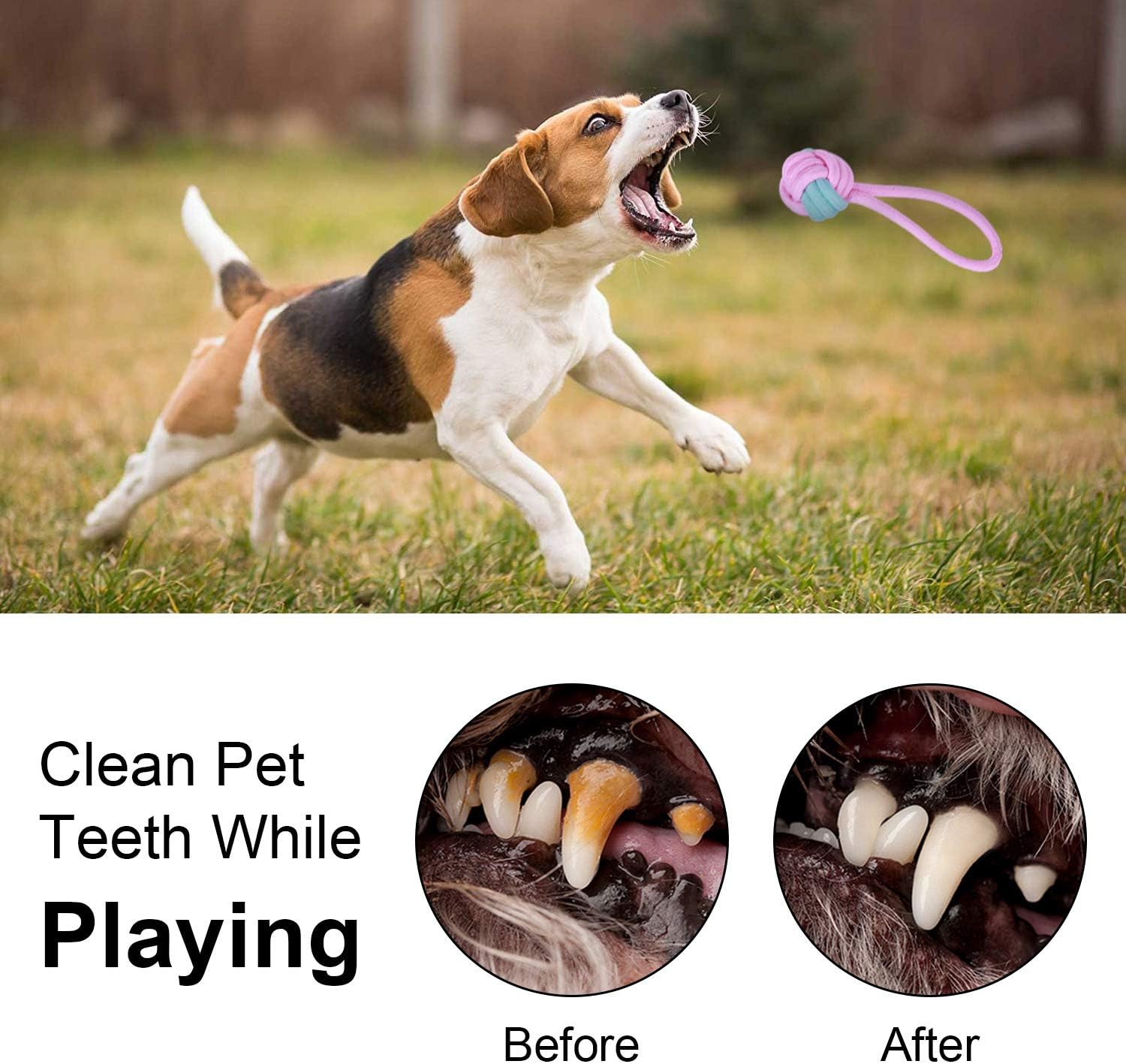 7 Pack Dog Rope Toys Interactive Chewing Rope Ball Puppy Chew Toys Dog Toys Toy Nearly Indestructible Rope Toy