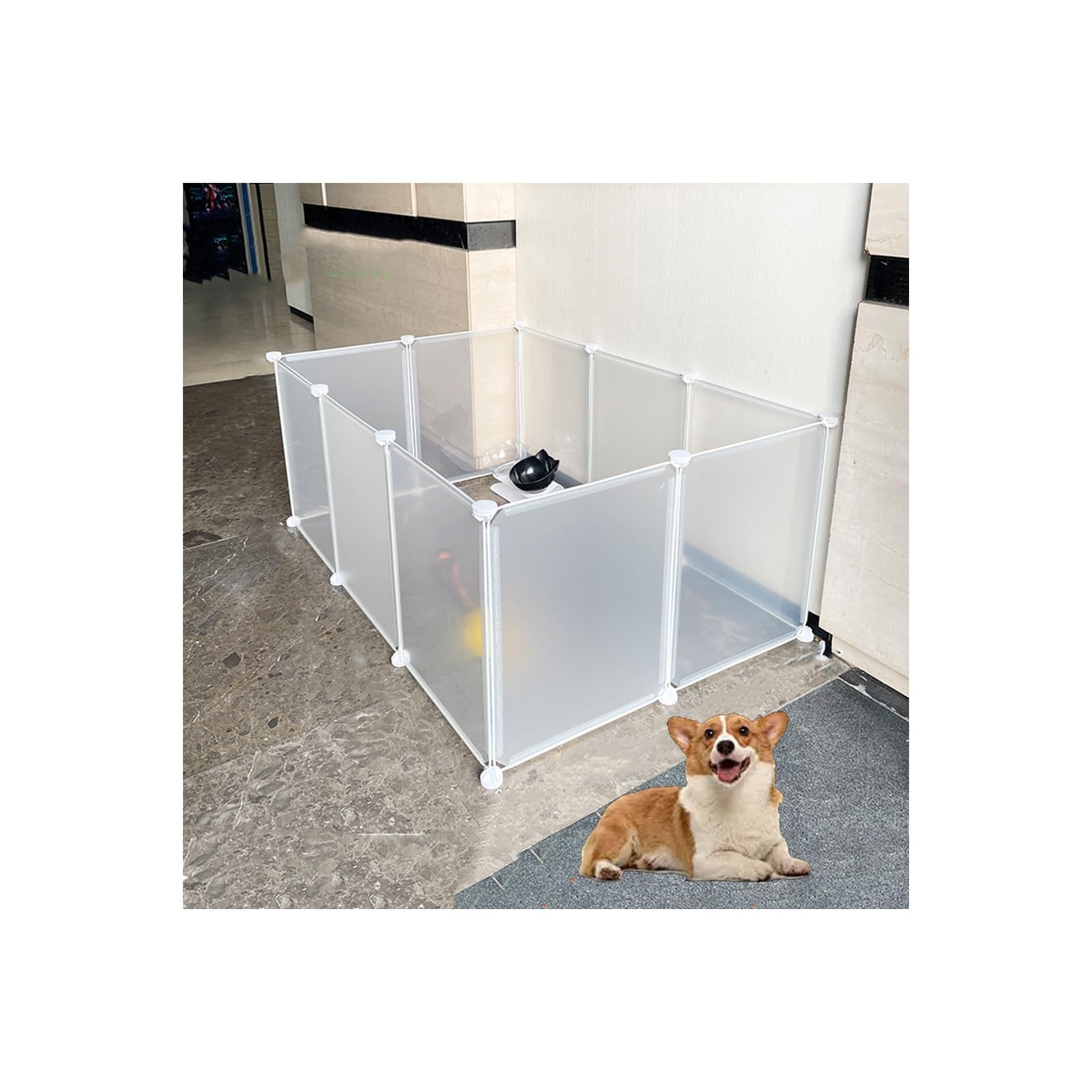 Enclos pour chiots et parc d'exercice robuste pour animaux