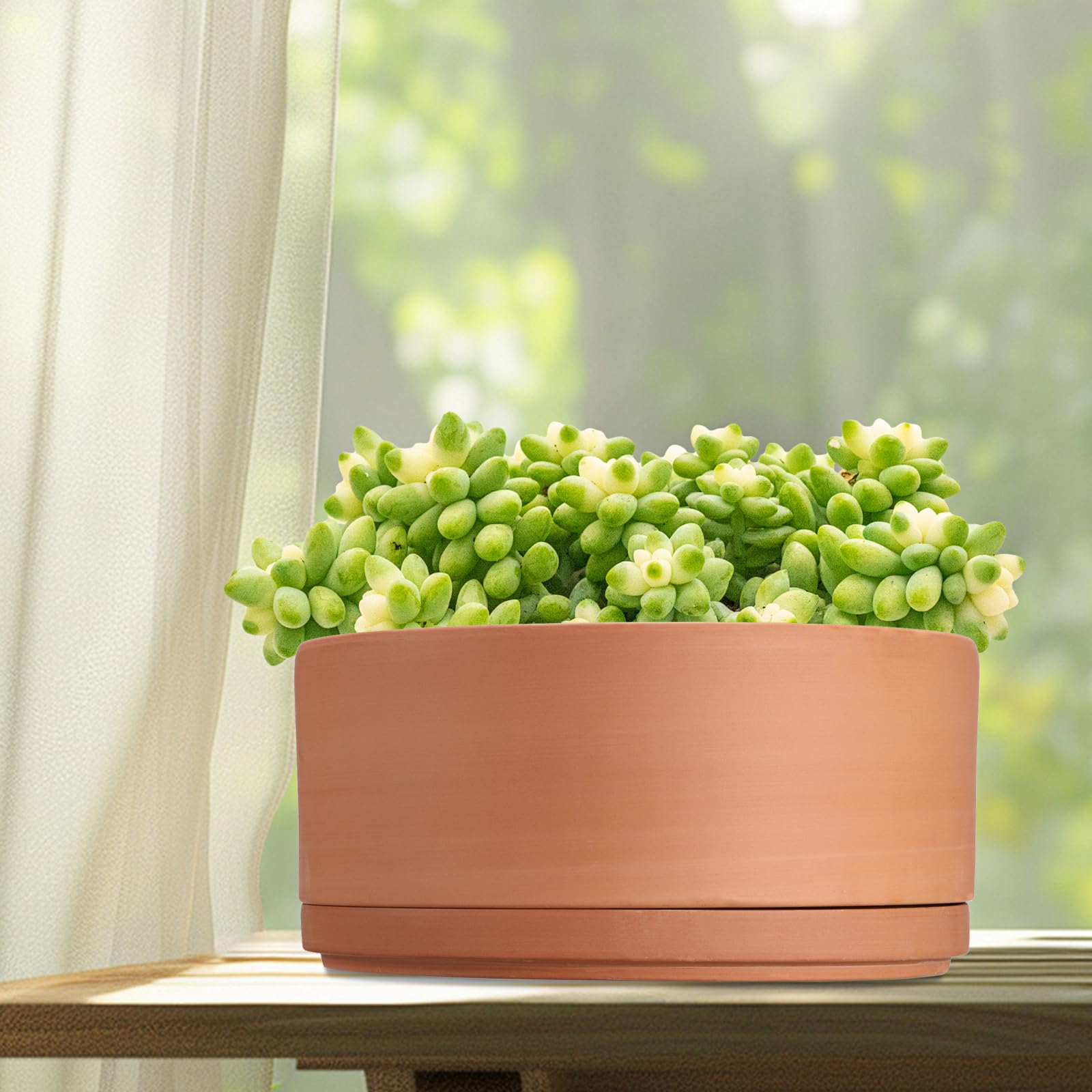 SUMTree Vasi per piante in terracotta, diametro 25,4 cm, vaso poco profondo per piante da interno ed esterno, vaso rotondo per piante grasse con foro di drenaggio, vaso in argilla per bonsai, fioriera
