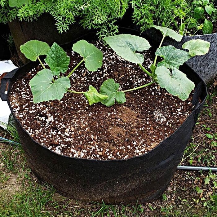 A.M. Leonard Fabric Grow Bags with Handles, 250 G/M2, 25-Gallon Capacity, Bundle of 10