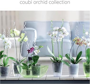 Pot coubi Orchid 3,8l., Dimensions (mm) 360x150x132, Color Transparent