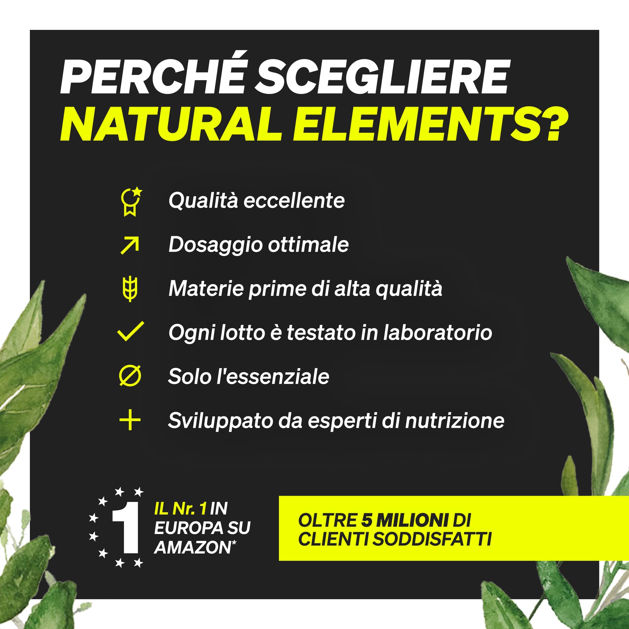 Creatina Monoidrato in Polvere - Materia prima di marca Creapure® - 147 porzioni (500 g) - Ultrafine: Mesh Factor 200 - Insapore e vegan - Polvere Pura senza Additivi Superflui - Prodotta in Germania