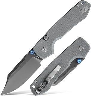 Vosteed Raccoon2.0 Bowie Blade EDC Knife - 3.25" 14C28N Steel, Top Liner Lock, Gray G10 Handle - Camping Hiking Knives - A2918