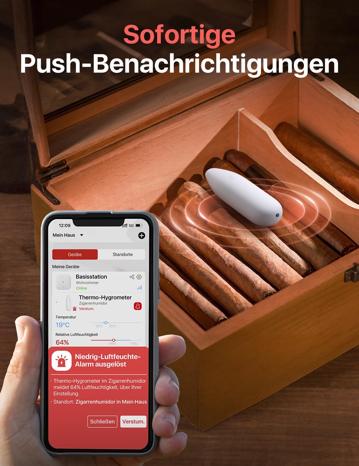 X-Sense WLAN Hygrometer Thermometer Innen, Temperatur- und Luftfeuchtigkeitsüberwachung per App, 500m Reichweite, Kostenfreier Datenexport, kompatibel mit Alexa, 4 Sensoren und 1 Basisstation SBS50