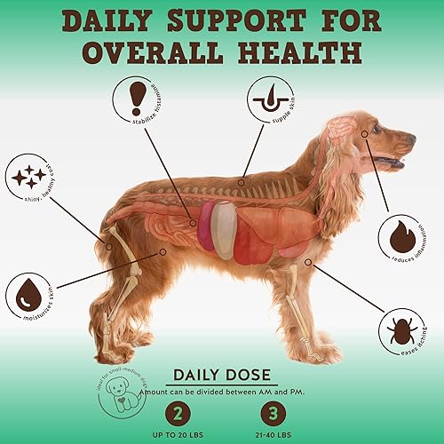 Miniatura 2 de Jack&Pup Dog Allergy Chews - Bark Buddies Aller-Care - Masticables suaves para masticar, alivio de picazón para perros y apoyo alérgico para perros,