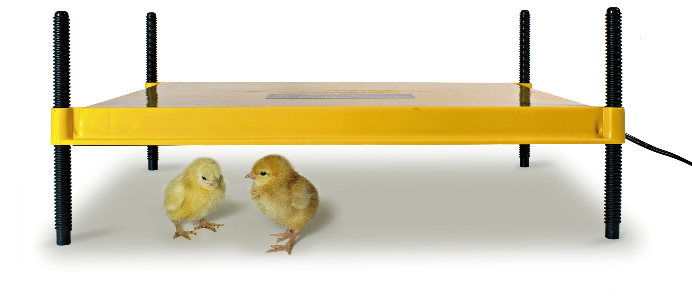 Brinsea Ecoglow 50 Chick Brooder