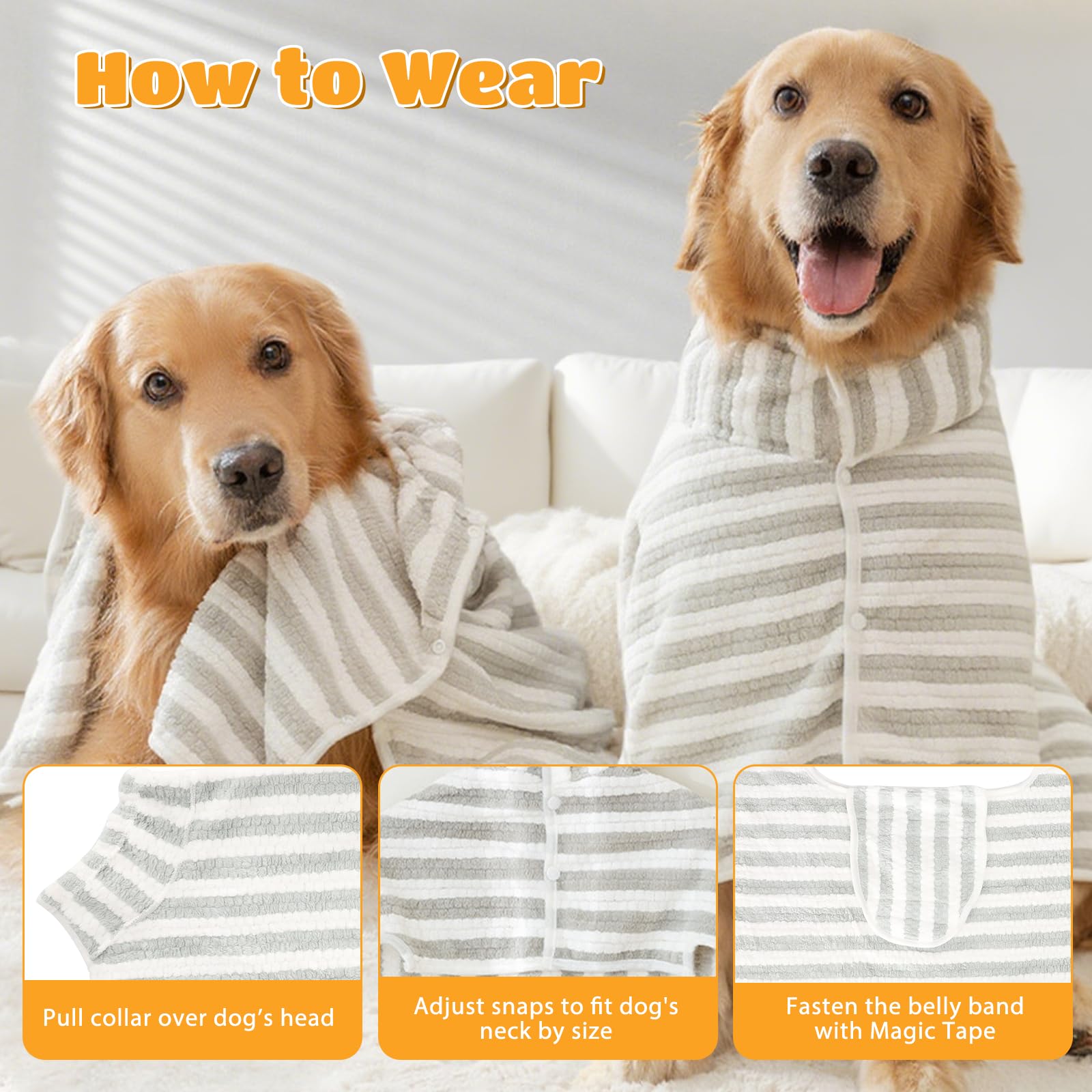 View 6