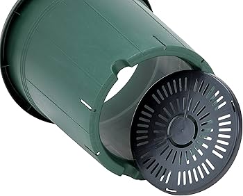 Amazon | アップルウェアー バラ鉢 8号 | 鉢