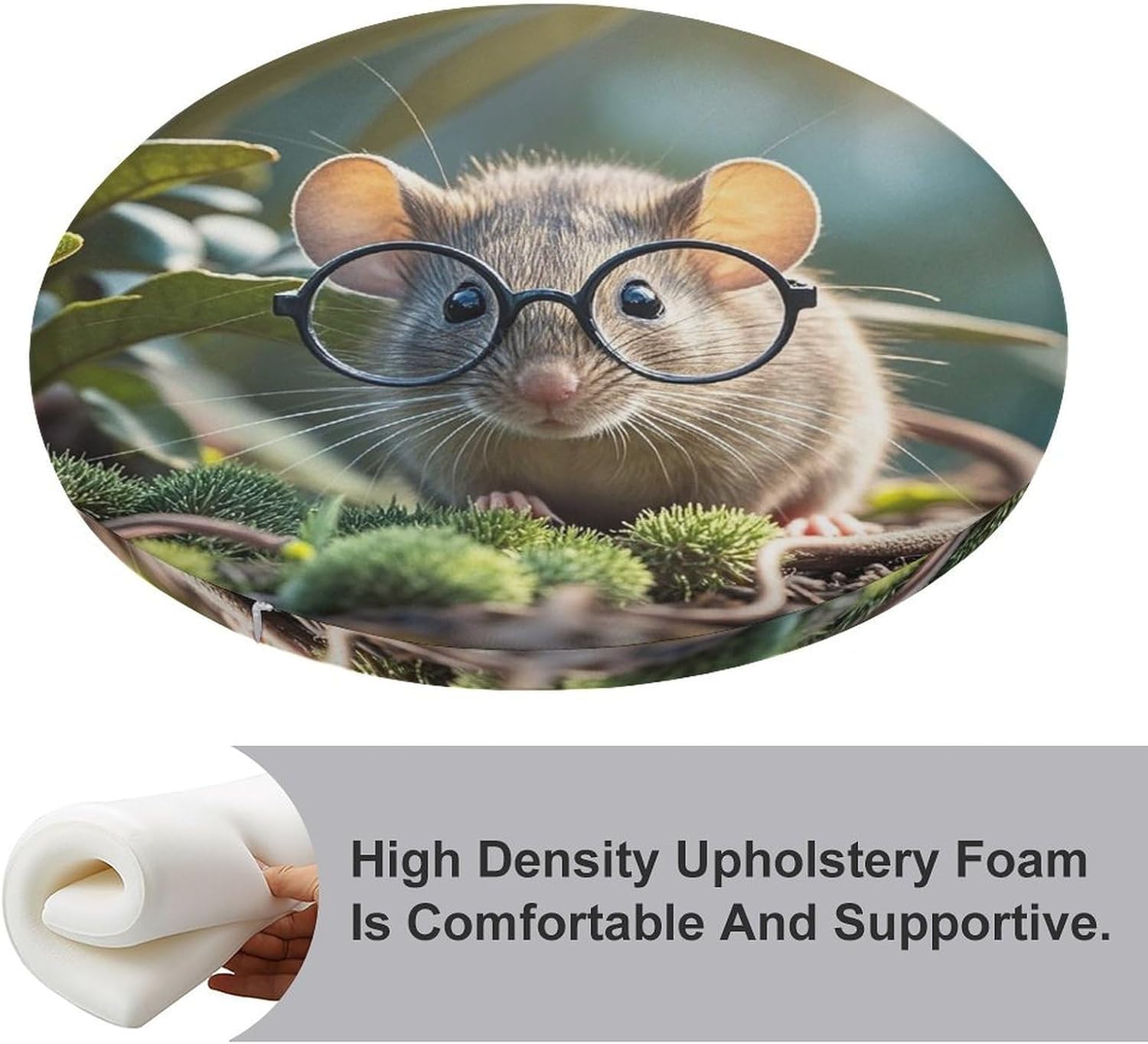 Guinea Mouse with Glasses Chair Cushions Floor Pillow Chair Pad