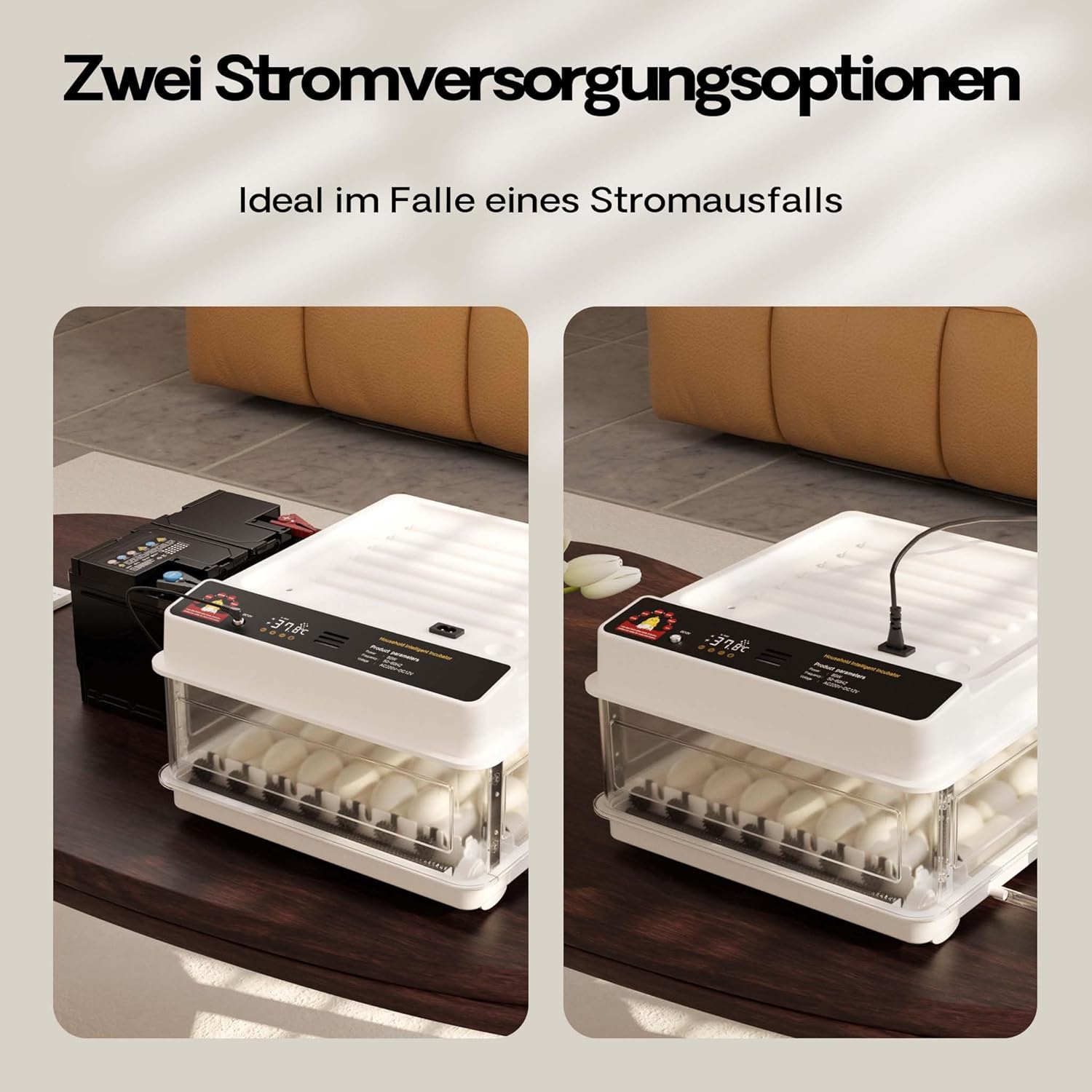 Incubator connected to AC power and a car battery for emergency power