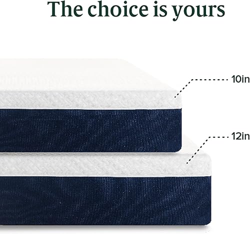 Miniatura 48 de ZINUS Colchón de espuma viscoelástica esencial de enfriamiento individual de 12 pulgadas [NewVersion], sin fibra de vidrio, sensación media, capas