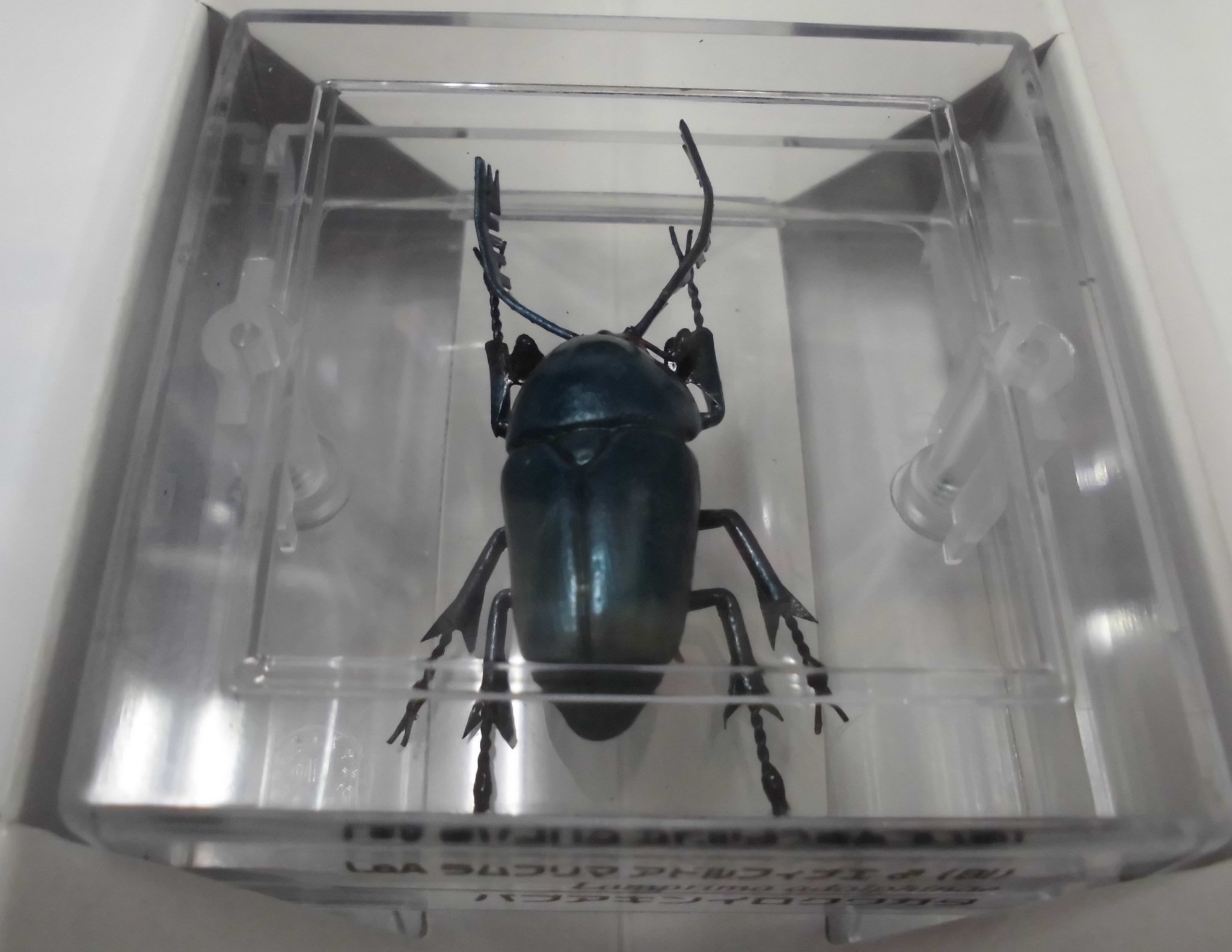 世界昆虫大百科 第3弾 抽選 当選品「パプアキンイロクワガタ♀」3体セット エフトイズ 世界昆虫大百科 第3弾 抽選当選品「パプアキンイロ