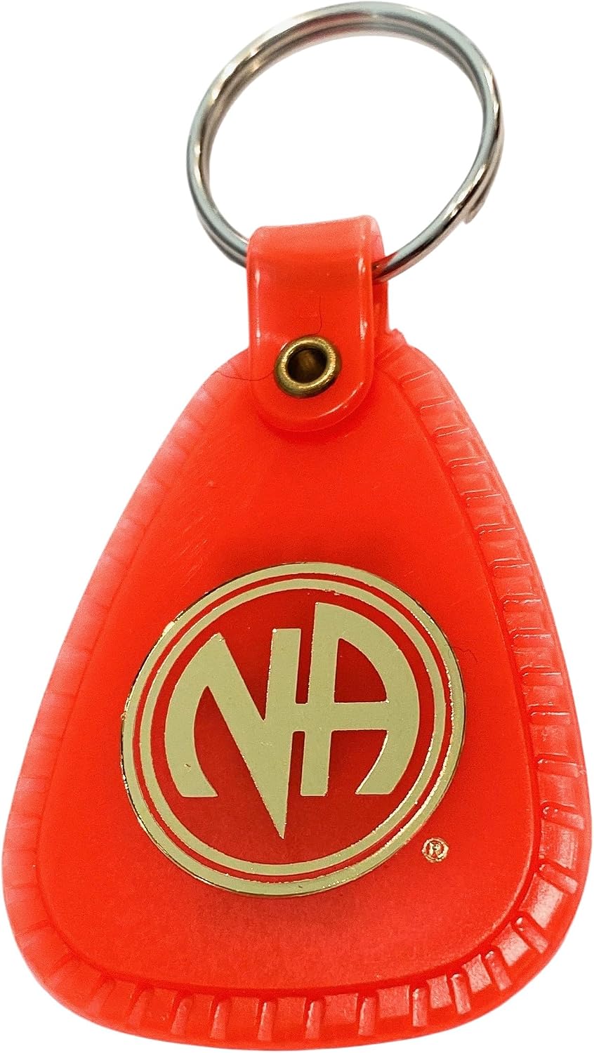 RecoveryChip NA Keychain Orange Clean Time 30 Days Of Sobriety Narcotics Anonymous 1 Month Keytag