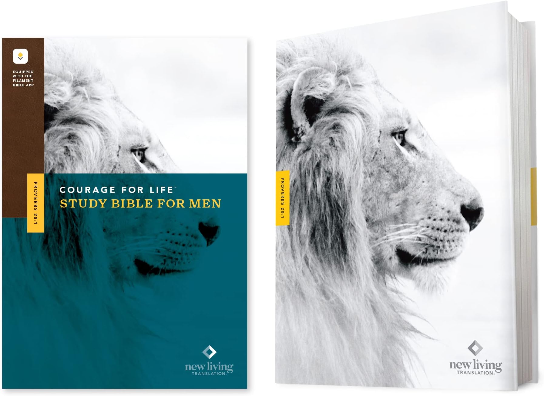 NLT Courage For Life Study Bible for Men, Filament Enabled (Hardcover)