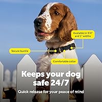 Vista 4 de Collar PetSafe KeepSafe para Perros - Protege contra Accidentes de Collar - Duradera - Ajustable - Separable - Seguro para Exteriores - Mediano