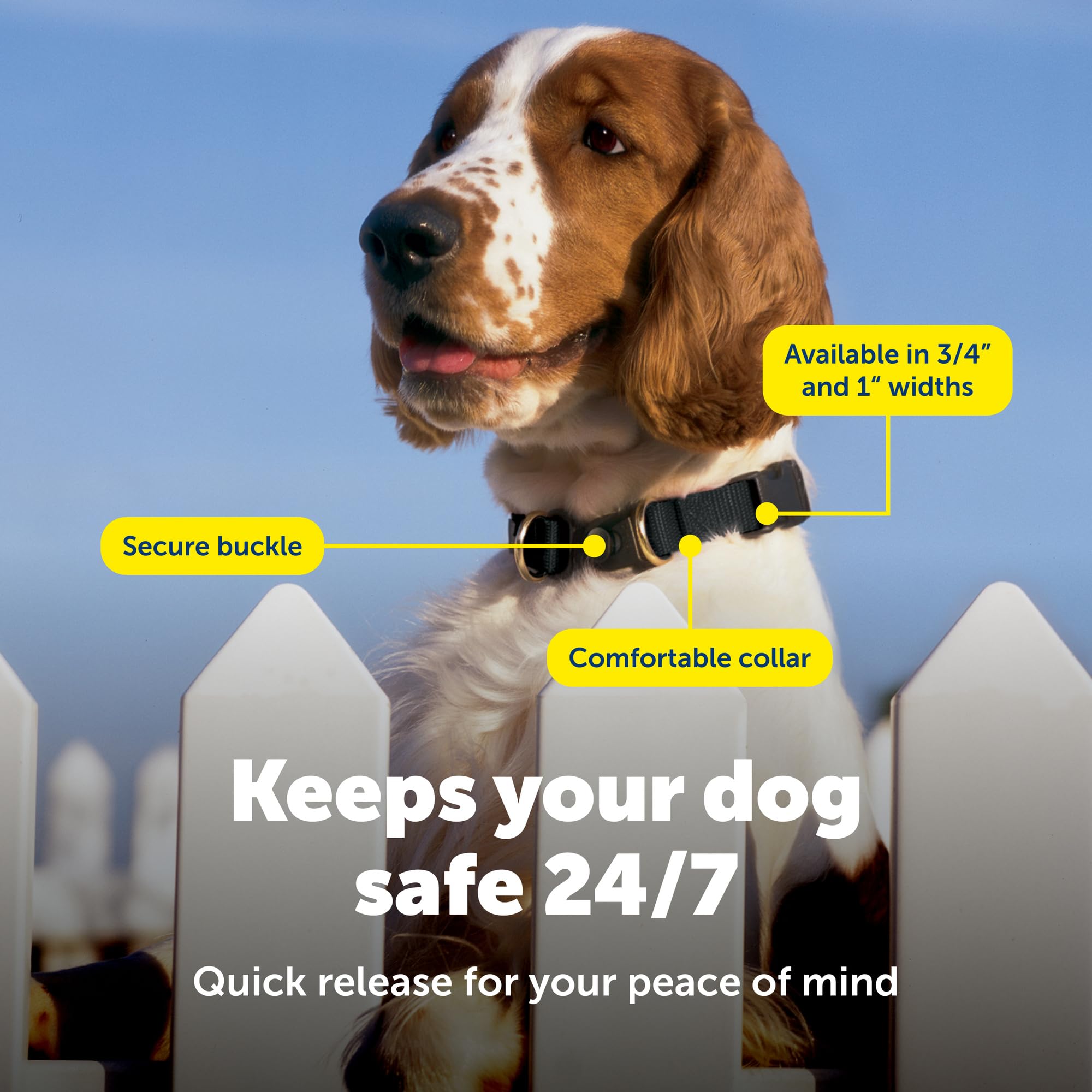 PetSafe KeepSafe strapazierfähiges Halsband für Hunde, Nylon, Patentierte Sicherheits-Schnalle, für alle Hunderassen, Medium (2 inches), schwarz