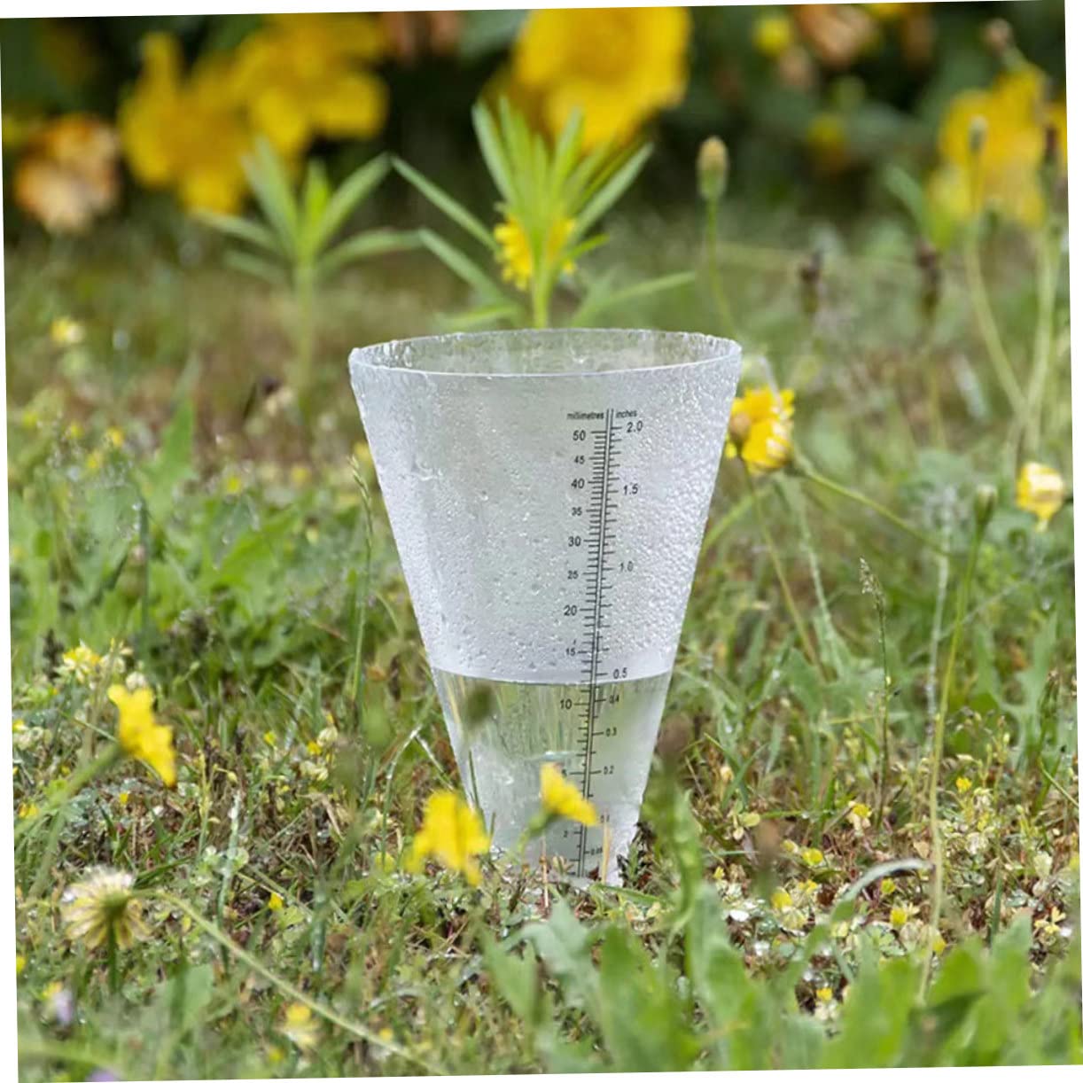 PVC-Schlauch 22mm - 3 Meter Klar Für Aquaponik & Bewässerung